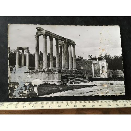 Листівка Туніс