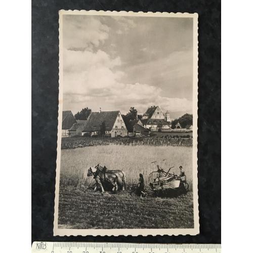 Листівка Європа