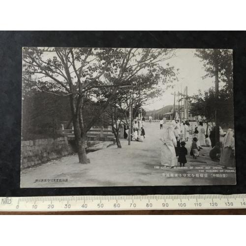 Листівка Японія