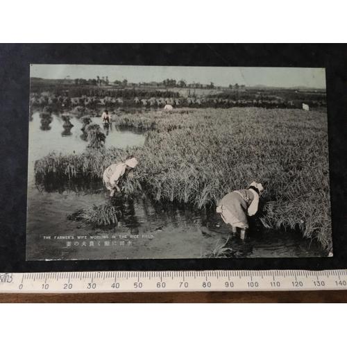 Листівка Японія