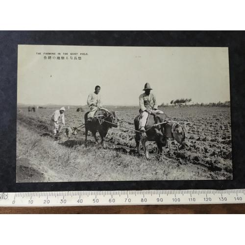 Листівка Японія