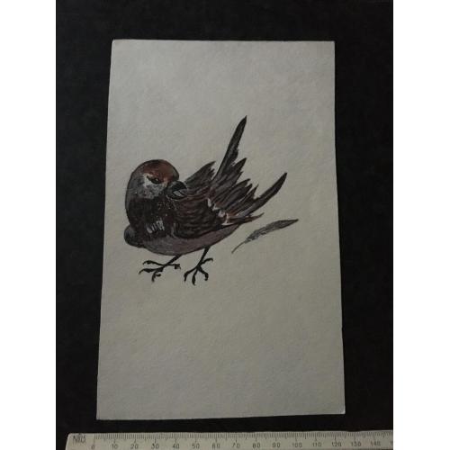 Малюнок Птах