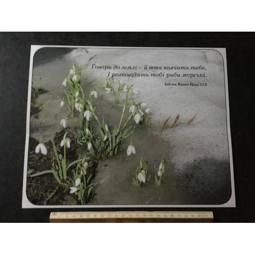 Плакат Ходорів Барви року фото Маркови