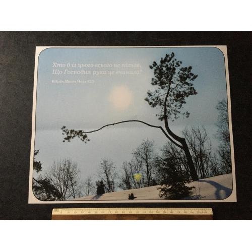 Плакат Ходорів Барви року фото Маркови