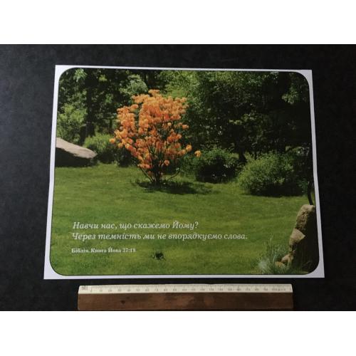 Плакат Ходорів Барви року фото Маркови