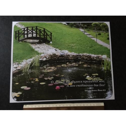 Плакат Ходорів Барви року фото Маркови