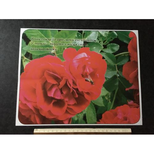 Плакат Ходорів Барви року фото Маркови