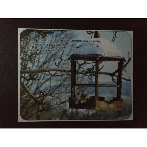 Плакат Ходорів Барви року фото Маркови