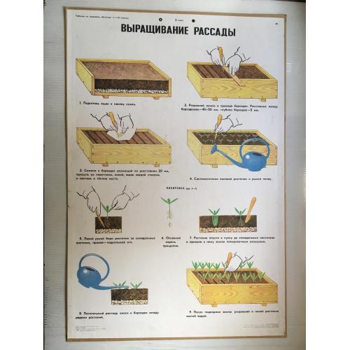 Плакат Навчання 