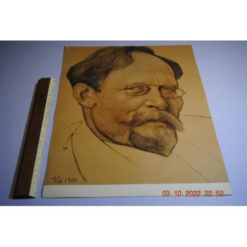 плакат портрет Владимирский