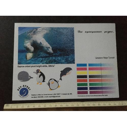  Плакат Реклама 