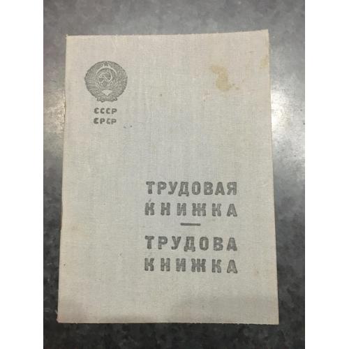 Трудова книжка Штейнберг 1934