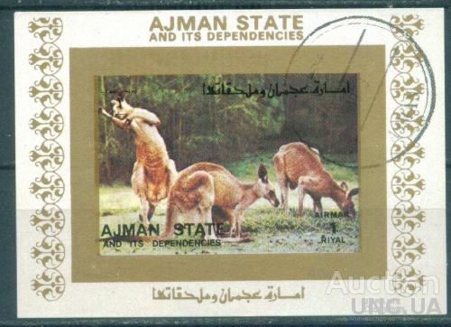 Аджман - Блок - Фауна - Двурезцовые сумчатые млекопитающие - Кенгуру - Австралия - Люкс-блок
