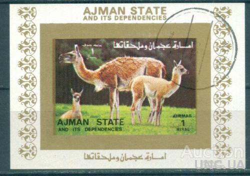 Аджман - Блок - Фауна - Млекопитающие - Парнокопытные - Верблюдовые - Лама - Люкс-блок
