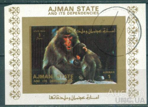 Аджман - Блок - Фауна - Млекопитающие - Приматы - Мартышковые - Макаки - Японский макак - Люкс-блок