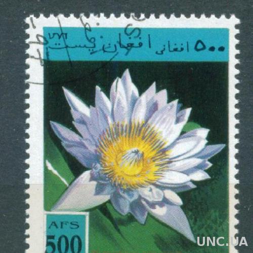 Афганистан - Флора - Цветок