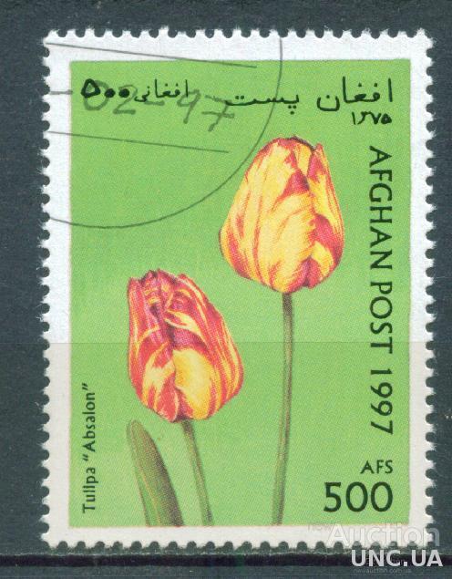 Афганистан - Флора - Тюльпан
