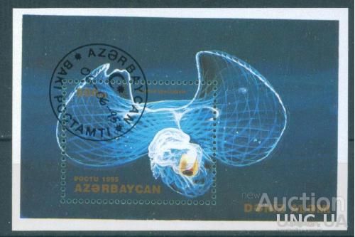 Азербайджан - Блок - Фауна - Морская фауна - Медуза
