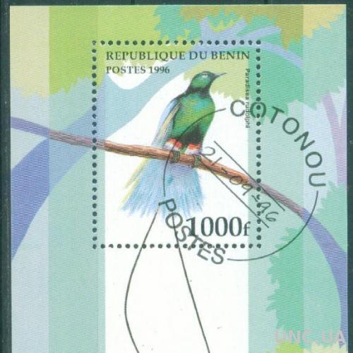 Бенин - Африканская фауна - Птицы