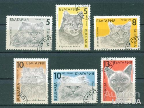 Болгария - Фауна - Кошки