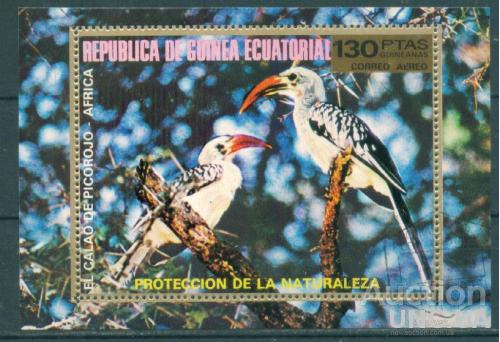 Гвинея Экватор. - Блок - Фауна - Орнитология - Птицы-носороги - Красноклювый токо - Африка - Сахара