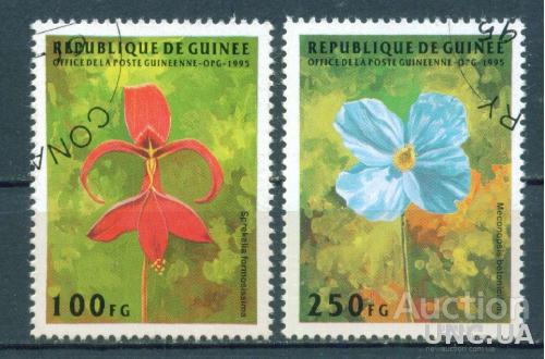 Гвинея - Флора - Цветы