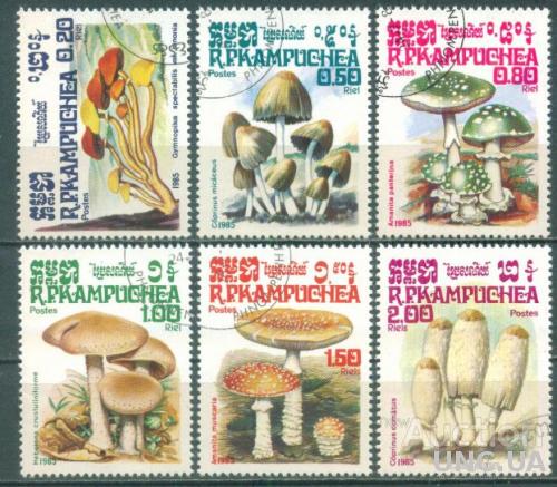 Камбоджа - Флора - Ядовитые грибы