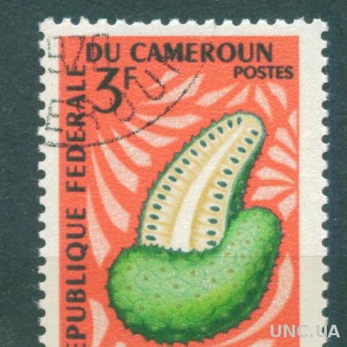 Камерун - Флора - Фрукты