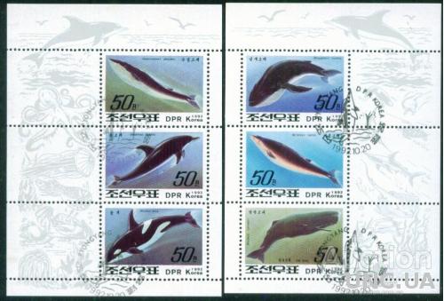 Корея - Блок - Фауна - Морская фауна - Млекопитающие - Китообразные - Кит - Касатка - Дельфин