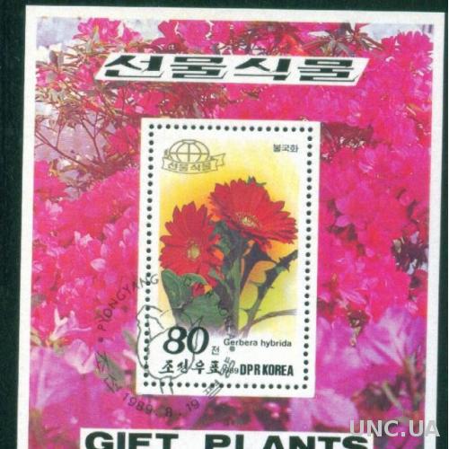 Корея - Блок - Флора - Растения - Цветы - Астры