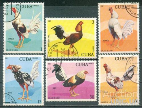 Куба - Фауна - Птицы - Бойцовые петухи