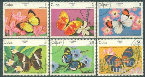 Куба - Флора - Цветы - Фауна - Насекомые - Бабочки