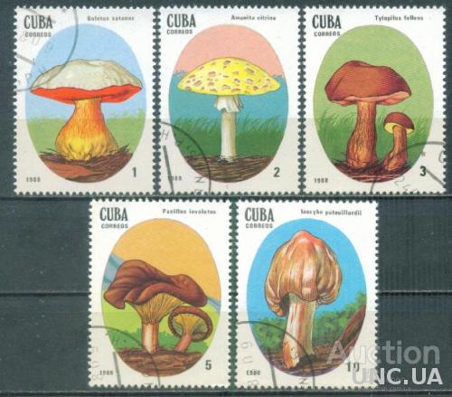 Куба - Флора - Грибы - 1988