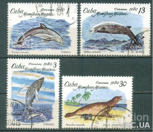 Куба - Морская фауна - Дельфины - Киты - Тюлени