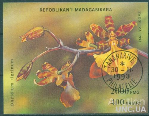 Мадагаскар - Блок - 1993 - Флора - Орхидеи - Онцидиум опалённый - Орхидея Кандианской танцовщицы