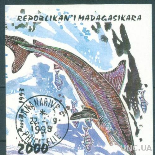 Мадагаскар - Блок - Фауна - Акула - б.з.