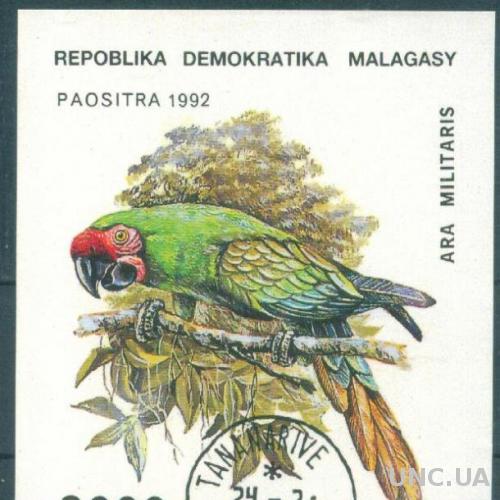 Мадагаскар - Блок - Фауна - Попугай Ара - б.з.