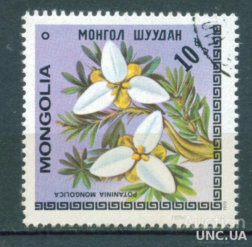 Монголия - Флора - Цветы