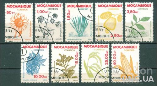 Мозамбик - Флора