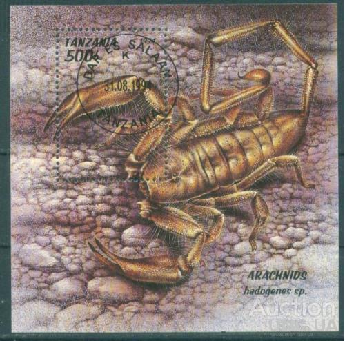 Танзания - Блок - Фауна - Арахниды - Паукообразные - Скорпионы