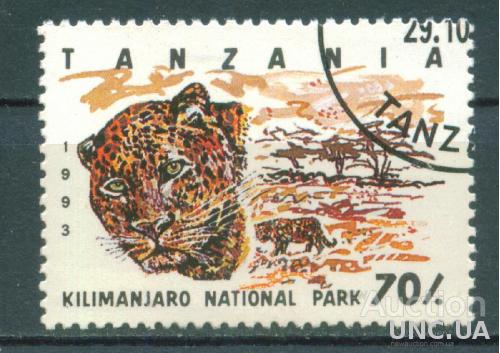 Танзания - Леопард - Заповедник  Килиманджаро