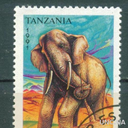 Танзания - Слон