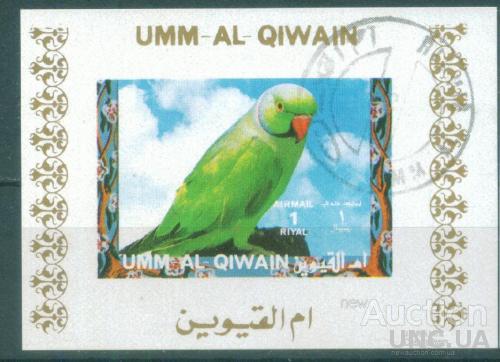 Умм-эль-Кайвейн - Люкс-блок - Фауна - Птицы - Зелёный попугайчик