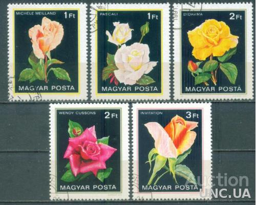 Венгрия - Флора - Цветы - Розы
