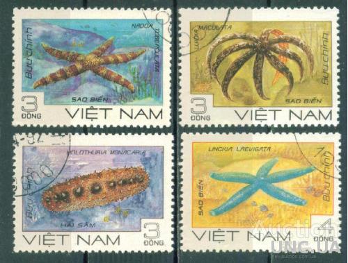 Вьетнам - Морская фауна - Звёзды
