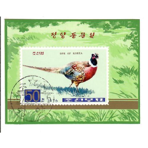 Блок кндр Птицы