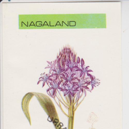 Индия Нагаленд блок Цветы