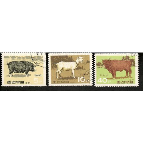 Марки кндр 3 шт. Фауна.