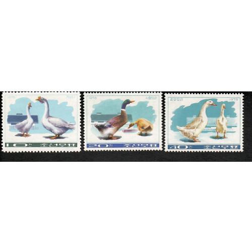 Марки кндр 3 шт. Птицы.