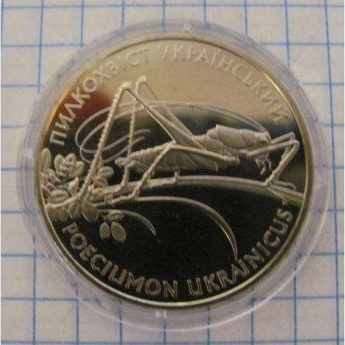 Пилкохвіст український 2 грн. 2006